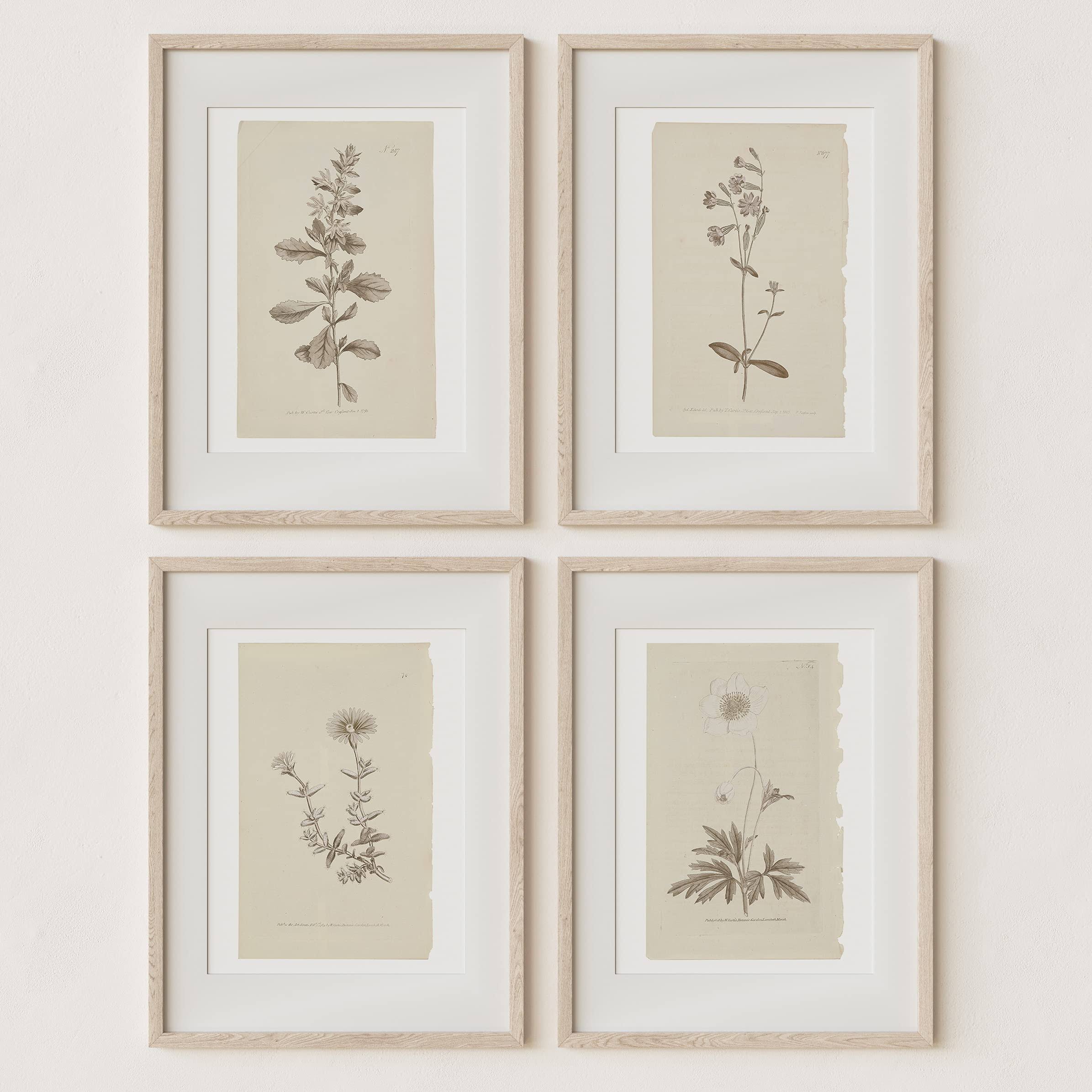 Wall Art Botanical Plant Prints | Vintage Flower Boho Minimalist Floral Artwork Neutral Decor for Bedroom, Living Room, Bathroom, Home or Office Main image